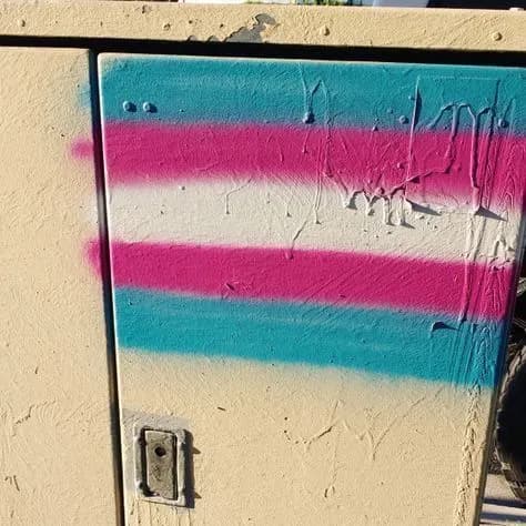 Mês Nacional da Visibilidade Trans